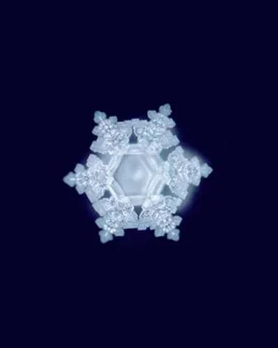 Water crystal image associated with acoustic levitation research